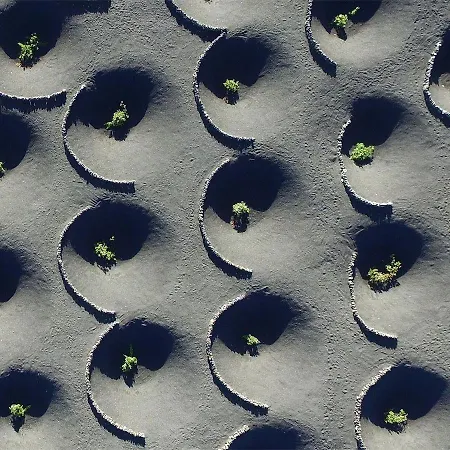 Casa Evan El Charco Casa de hóspedes 3*